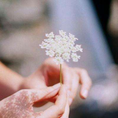 娃娃-果果和大灰狼